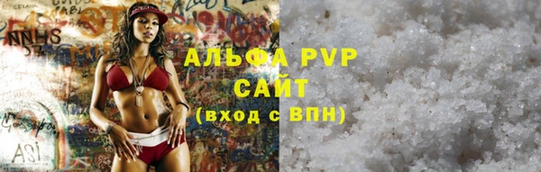 гашик Магас