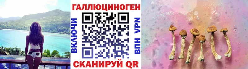Галлюциногенные грибы Cubensis  Харабали 