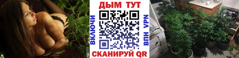 где можно купить наркотик kraken как зайти Марихуана тримм Харабали